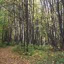 Фото Владимир, Чистополь, 65 лет - добавлено 13 ноября 2015