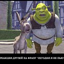 ���� �����, ��������, 43 ���� - ��������� 24 ������ 2015 � ������ ������ ��������