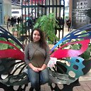 ���� ���������, ������, 42 ���� - ��������� 11 ������� 2015 � ������ ���� ����������