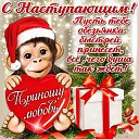 ���� ����, ������ - ��������� 4 ������ 2016 � ������ ������ ��������