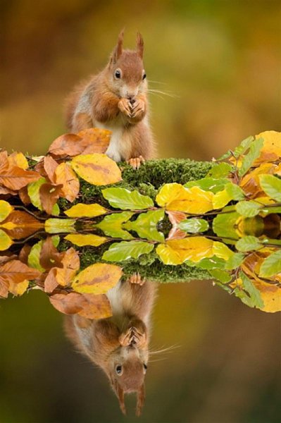  Edwin Kats.
