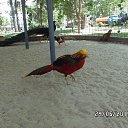 ���� Viktor, ������ - ��������� 20 ������� 2016 � ������ ������ ��������