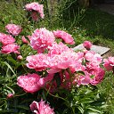 ���� ���, ����������, 75 ��� - ��������� 8 ����� 2016 � ������ ������ ��������