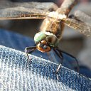 ��� �������� 15 ����� ��������� �� ���� ���� �� ������� �������� ������