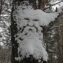 ���� Roska, ����, 53 ���� - ��������� 3 ������ 2016 � ������ ���� ����������