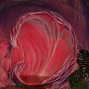 ���� Dilshod, ���������, 46 ��� - ��������� 1 ������ 2015 � ������ ���� ����������