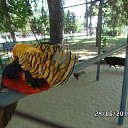 ���� Viktor, ������ - ��������� 20 ������� 2016 � ������ ������ ��������