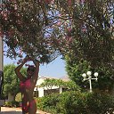 ���� �������� ������, �����-���������, 51 ��� - ��������� 19 ������� 2015 � ������ ������ ��������