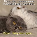 ���� ���������, �����������, 75 ��� - ��������� 22 ������ 2016 � ������ �������