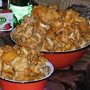 ���� ���, �����-���������, 41 ��� - ��������� 26 ������ 2015 � ������ ������