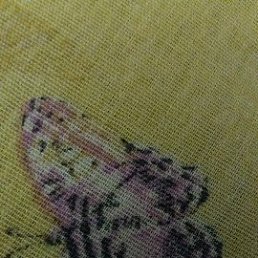 ��������, �����, 46 ���