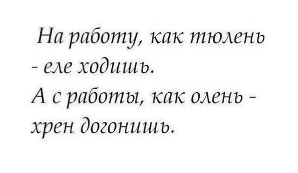   - 1  2015  09:04