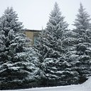  ,  -  9  2016    2016