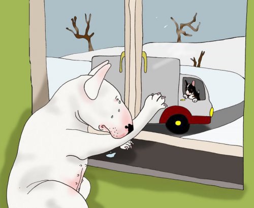 Приключения бультерьера Лены из Швеции=D - 8