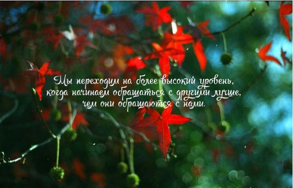...����� ���� ���� ������
