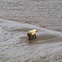 ���� ��������, ������, 51 ��� - ��������� 22 ������� 2015 � ������ ���� ����������