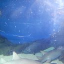 ���� �����, ���������, 57 ��� - ��������� 19 ������ 2015 � ������ ���� ����������