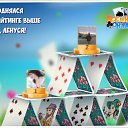 ���� �������, ������� - ��������� 24 ������ 2016 � ������ �������� �������-�������
