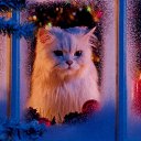 ���� �������, ����� - ��������� 16 ������ 2016 � ������ ������ ��������
