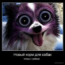 ���� ������, ������ ��������, 49 ��� - ��������� 26 �������� 2015 � ������ ���������