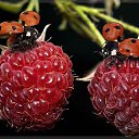  ,  -  18  2016     Ȼ