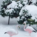 ���� �����, ��������, 51 ��� - ��������� 30 ������ 2016 � ������ �����