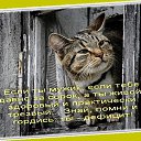 ���� ����, ������ - ��������� 2 ������� 2015 � ������ ������ ��������