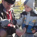 ���� �������, ����������, 72 ���� - ��������� 29 ������� 2015 � ������ ���� ����������