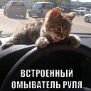 ))) �� ������� ���� ����������