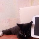 ���� �����, �������, 60 ��� - ��������� 24 ������ 2016 � ������ ���� ����������