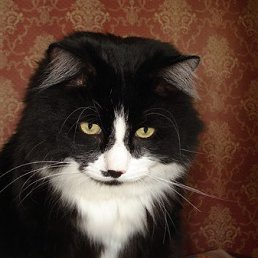 ���� ������, ������, 61 ��� - ��������� 14 ������ 2016