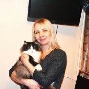 , 44 , 