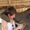 ���� ����, ������, 38 ��� - ��������� 1 ������ 2015 � ������ ���� ����������