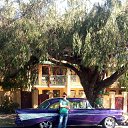 ���� ���������, ������, 38 ��� - ��������� 23 ������ 2015 � ������ ���� ����������