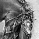 ���� ˸����, ������� - ��������� 22 ������� 2016 � ������ ���� ����������