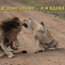 ���� �������, �����-���������, 58 ��� - ��������� 15 ������� 2015 � ������ ������ ��������