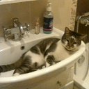 ���� �����, ������, 60 ��� - ��������� 29 ������� 2015 � ������ ���� ����������