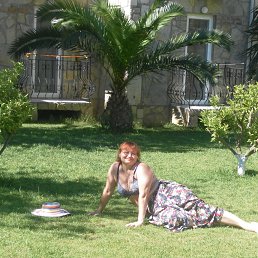 ���� �����, ������������, 61 ��� - ��������� 31 ������� 2015