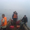 ���� ������, ����-���������, 33 ���� - ��������� 15 ������ 2015 � ������ ���� ����������