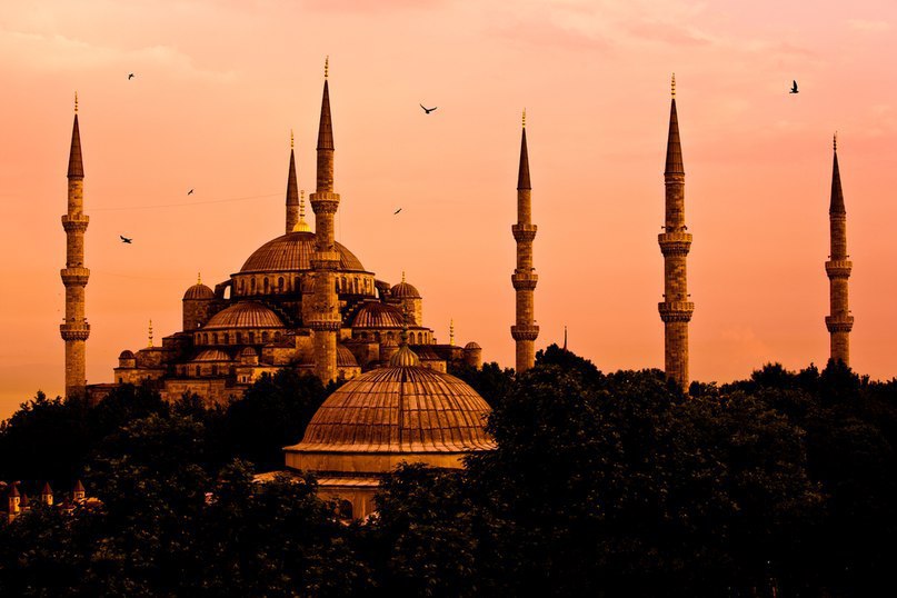 �������� �� �������� - 5