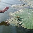 �������. �� ������� ���� ����������