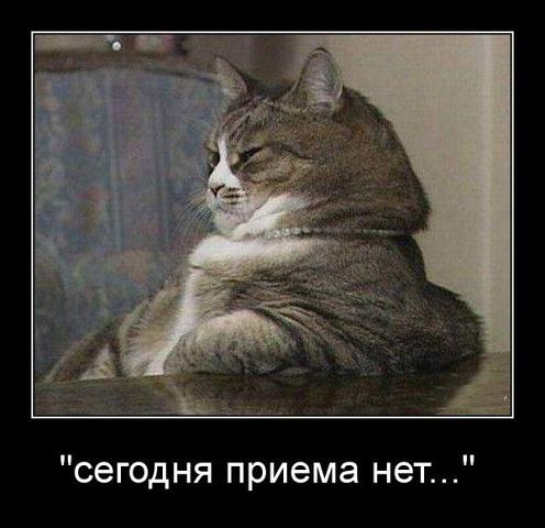 ***Victoria Viktorovna*** - 25  2015  16:51
