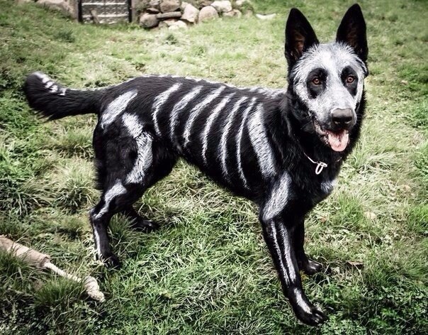    .#halloween@https://fotostrana.ru/away?to=/sl/XE2