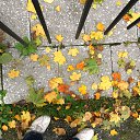 ���� �������, ����, 54 ���� - ��������� 29 �������� 2015