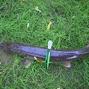 ���� ����, �������������, 58 ��� - ��������� 2 ������ 2016 � ������ ���� ����������