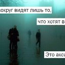 ���� �������, ������ - ��������� 29 ������ 2015 � ������ ������ ��������