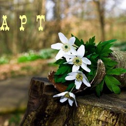 ���� ������, �������������� - ��������� 1 ����� 2016