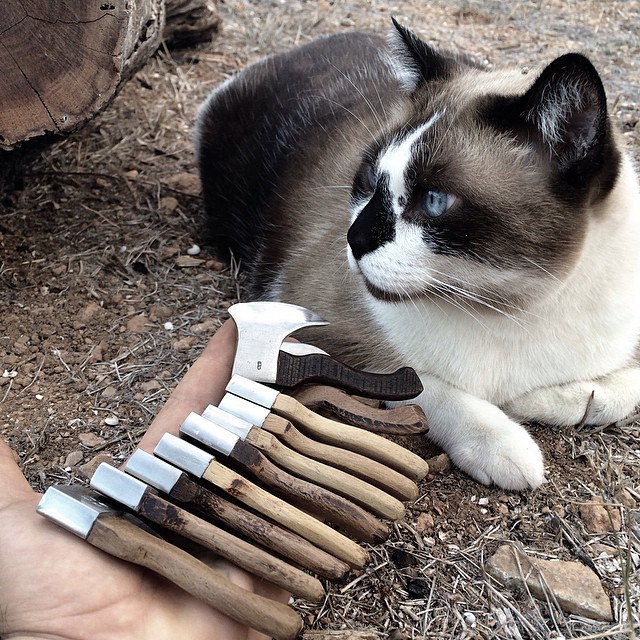 LOOK3 - 18  2016  08:31 - 5