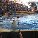 ��� ������� �� ������� ������ ��������