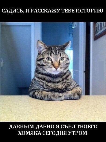 ? ,  ! - 28  2015  08:57